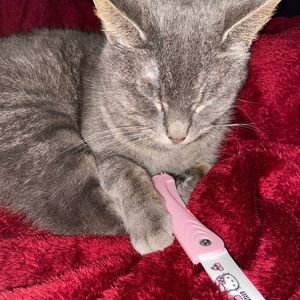 Meet your Posher, Laney